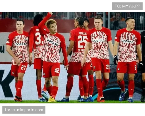 弗赖堡球队结构